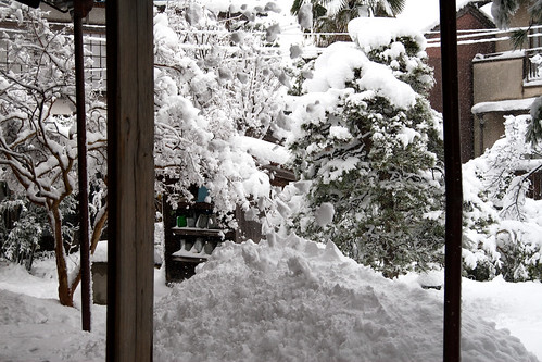 雪の大晦日2010