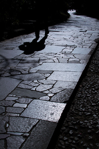 pavement, winter