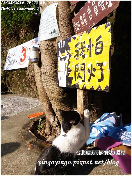 台北瑞芳(侯硐站)貓村20101128_R0016317
