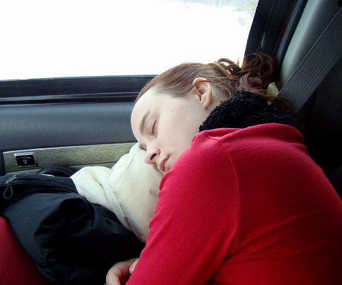 Casey napping on the way home from MN Surgery vagotomy