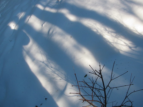 Snow Shadows 5