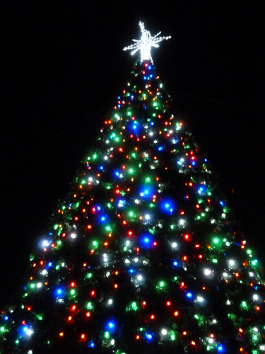 Saint Peteresburg's Christmas tree