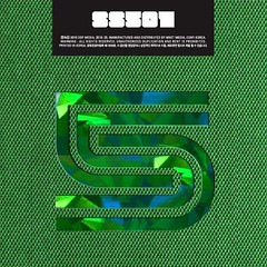 SS501 Mini Album - Destination