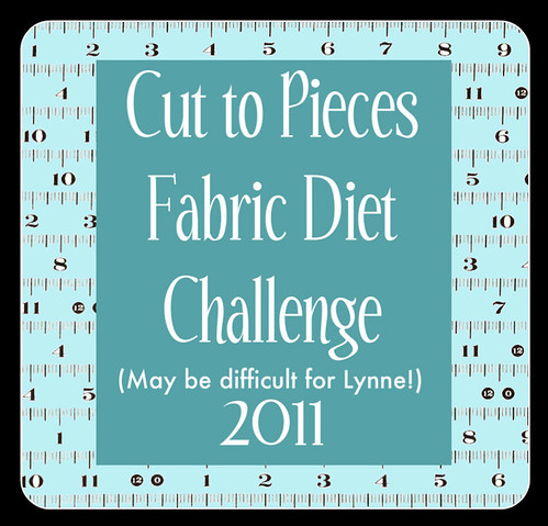 fabric diet challenge for Lynne