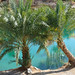 wadi Bani Khaled pool shore