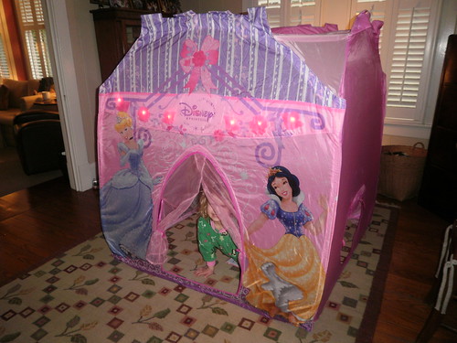 Giant Princess Tent