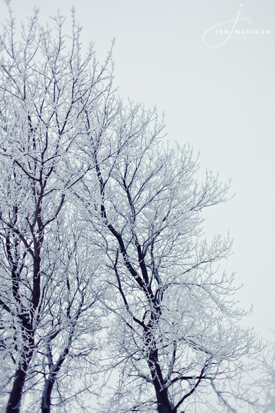 winter1blog