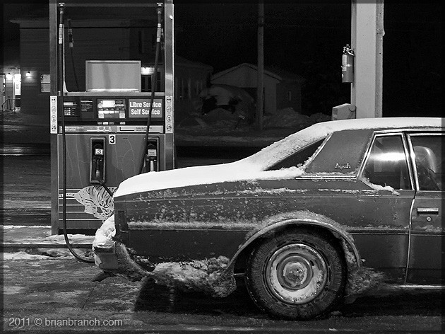 P1130812_1977_impala