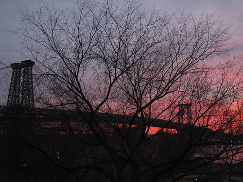 From my window, Thanksgiving morning, 2010