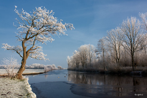 My Favorite Spot at the Polder (Winter)