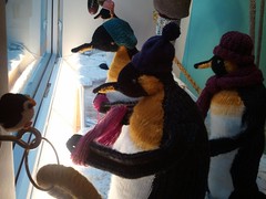 Ping and the LBYS Penguins