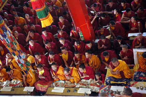 Front row of lamas and tulkus praying, while others hand out samaya substances, Tharlam Monastery of Tibetan Buddhism, Boudha, Kathmandu, Nepal by Wonderlane