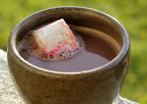Hot Cocoa with Homemade Marshmallow