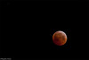 Lunar Eclipse 21.12.2010