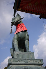 Fushimi Inari Fox