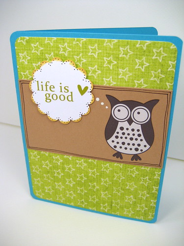 funny owl. Funny owl card
