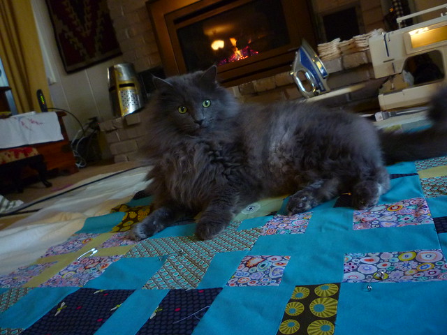 king of the quilt project
