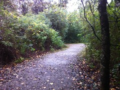  Gravel Trail 