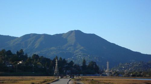 Mt. Tam