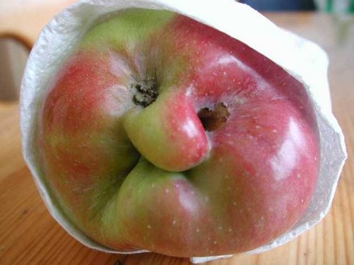 [CGM] Ivan the Icky apple