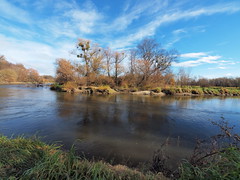 River banks habitat (48°39' N 16°55' E)