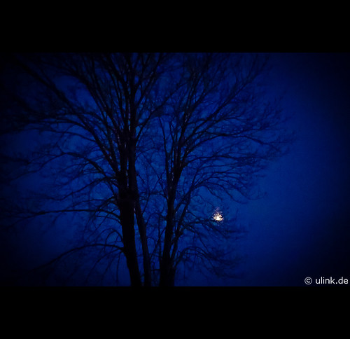 _blue_moon