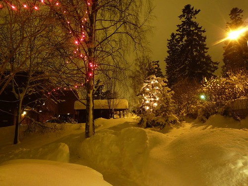 Christmas Lights by timo_w2s