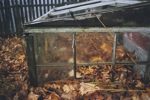 the cold frame
