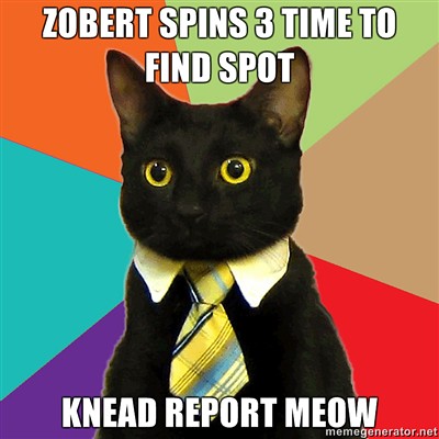 ZOBERT-SPINS-3-TIME-TO-FIND-SPOT-KNEAD-REPORT-MEOW