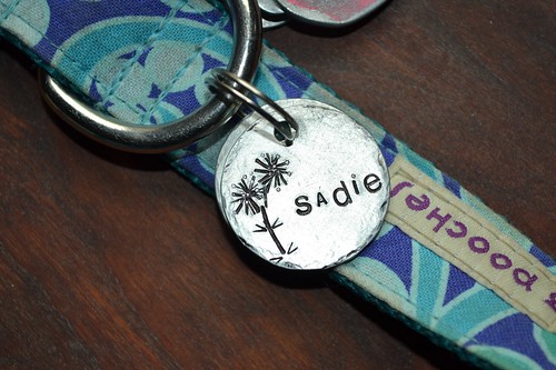 Sadies new tag1