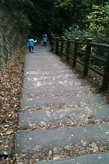 粟又の滝 自然遊歩道