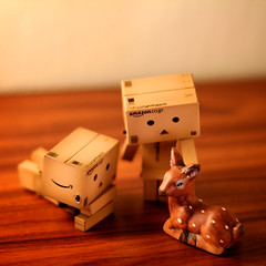 Danbo Malaysia on Discussing What Kind Of Danbo Do You Have  In Danbo Love