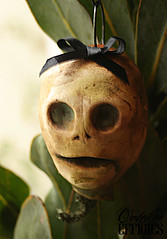 Skull Seed Ornament Giveaway!! 