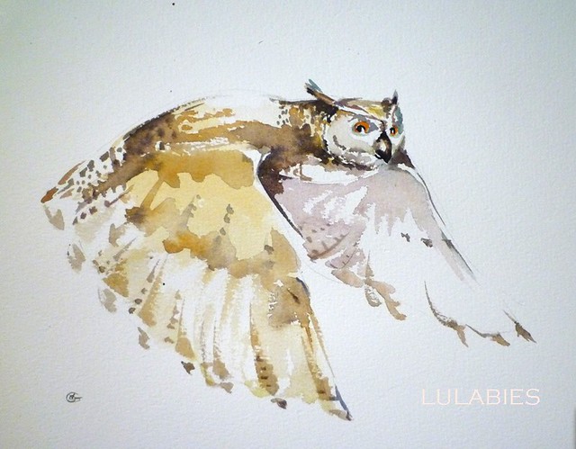 lulabies owl