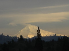 Mount Hood (digital zoom)