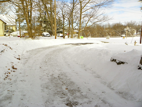 Our snowy driveway, freshly shoveled