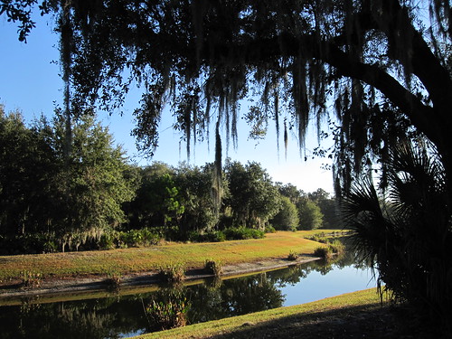 pond in Florida