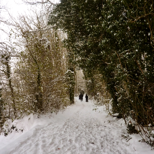 Chilham in the snow ~ trail around lake
