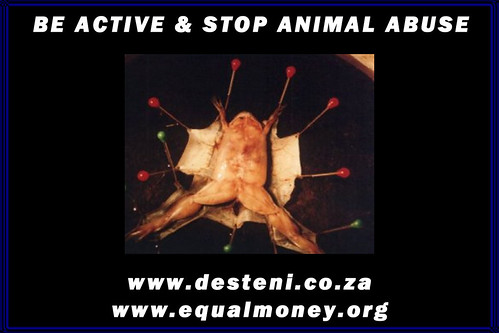 Stop Animal Cruelty Quotes. STOP animal abuse with DESTENI