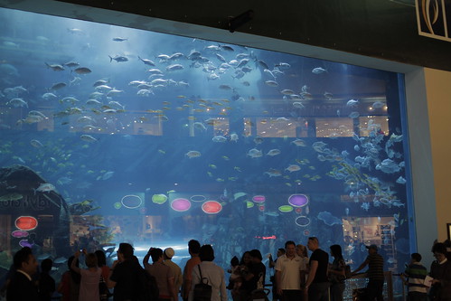 Large Aquarium in Dubai Mall