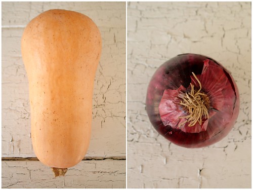 Butternut and Red Onion Diptych