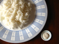 17/365 Rice Double Take