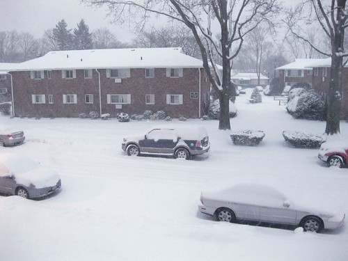 Long Island snow: Jan 21, 2011