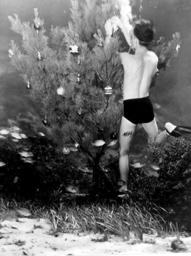 Bud Bassette Decorating Underwater Christmas Tree