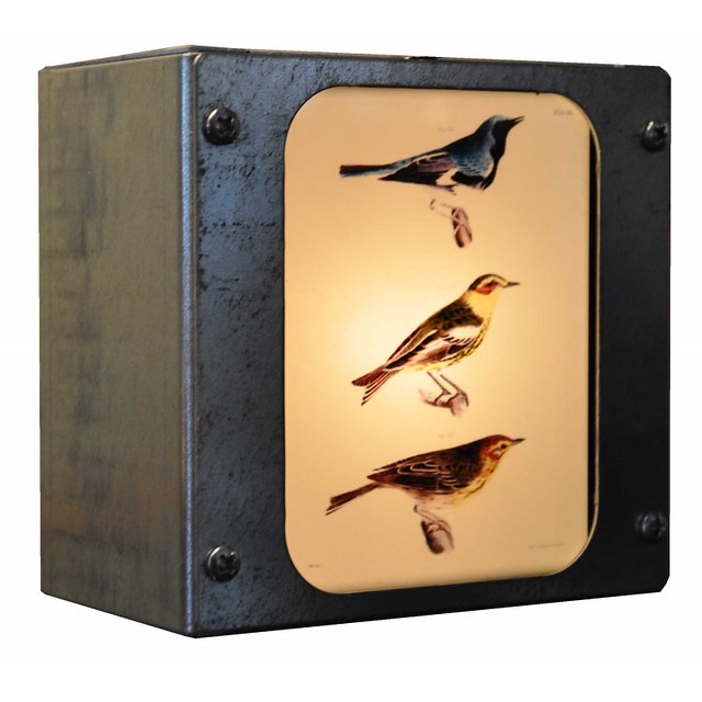 bird plate box