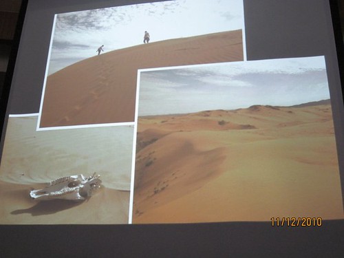 Sicaa分享的「蒙古」沙漠
