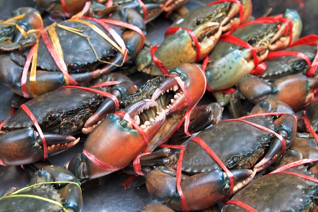 Crabs! - Bangkok, Thailand