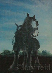ACEO Working Horse