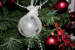 Christmas tree 2010