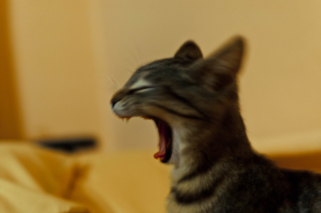 super-yawn